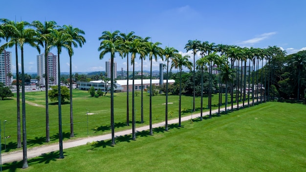 Aerial view of the Burle Marx park Parque da Cidade in Sao Jose dos Campos Brazil Tall and beautiful palm trees