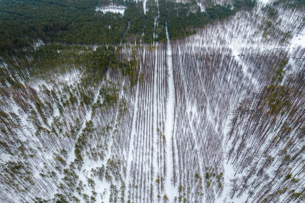 Вид с воздуха на сгоревший лес на зимнем фото с дрона