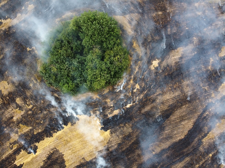Photo aerial view of burning field with smoke in farm land