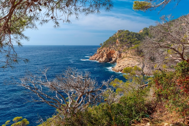 Aerial view of cala pola bay coast of the balearic sea near tossa de mar in the summer morning costa...