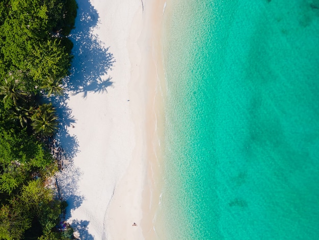 穏やかな海と植生のあるビーチの空撮