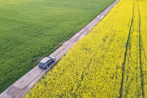 Аэрофотоснимок вождения автомобиля по прямой грунтовой дороге через зеленые поля