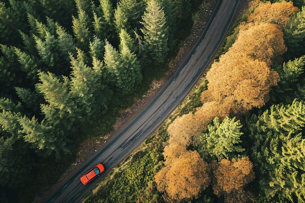 Aerial view of car driving on the road in autumn forest