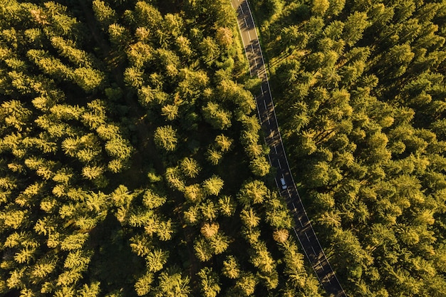 Вид с воздуха на автомобиль, проезжающий через лес по проселочной дороге