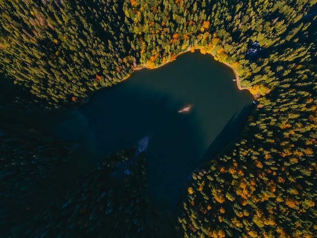 Vista aerea dello spazio della copia della stagione autunnale del lago dei carpazi