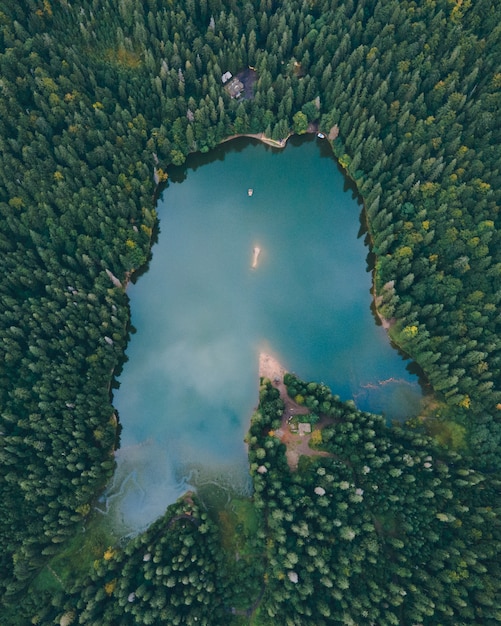 Вид с воздуха на карпатское озеро синевир осенний сезон