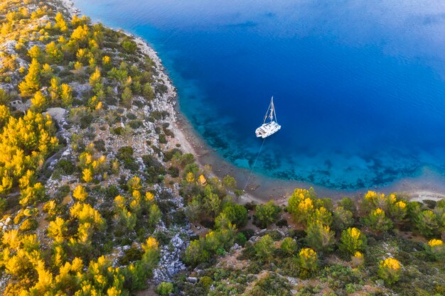 Aerial view of a catamaran yacht in the blue sea Yachting luxury vacation at sea Yachting in the Caribbean