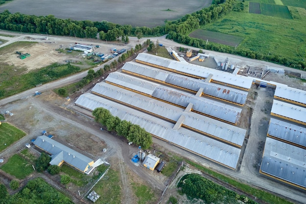 Aerial view of cattle farm buildings between green farmlands