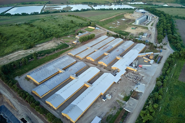 Aerial view of cattle farm buildings between green farmlands