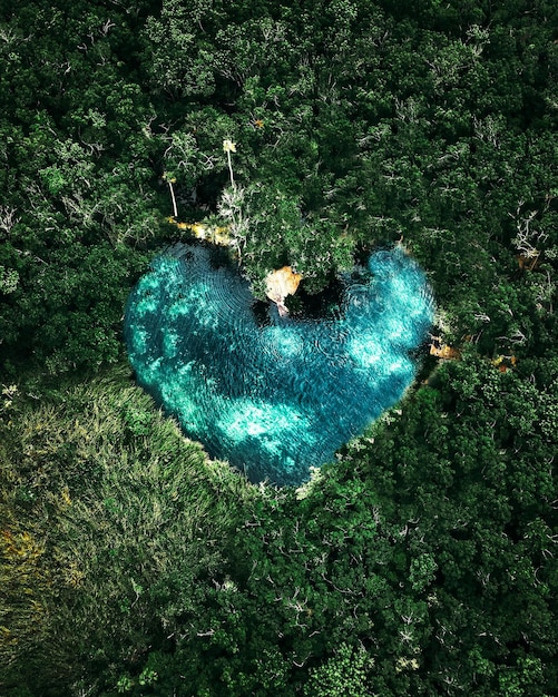 Foto veduta aerea del cenote corazon del paraiso a tulum, messico