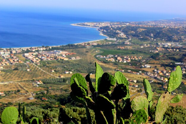 Aerial view of city by sea against sky