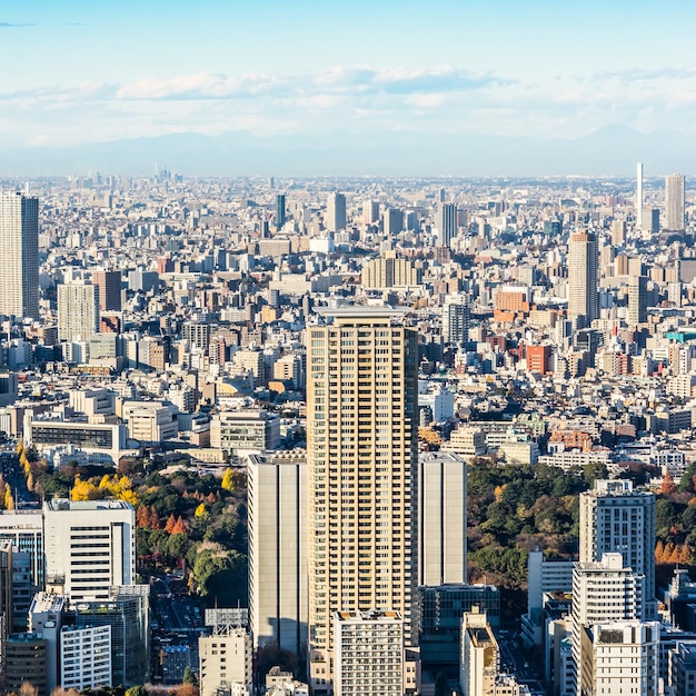 空から見た街景と空