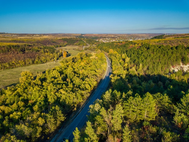 Aerial view of colourful forest in autumn with road cutting through