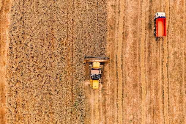 Вид с воздуха на сельскохозяйственную машину комбайна, работающую на поле золотой спелой пшеницы