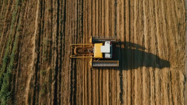 Aerial view of combine harvester in fields