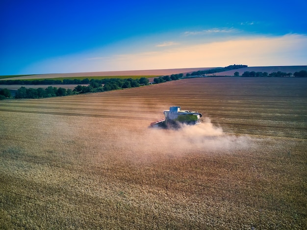 Вид с воздуха на зерноуборочный комбайн собирает пшеницу на закате. Уборка зерновых полей, сезон урожая.