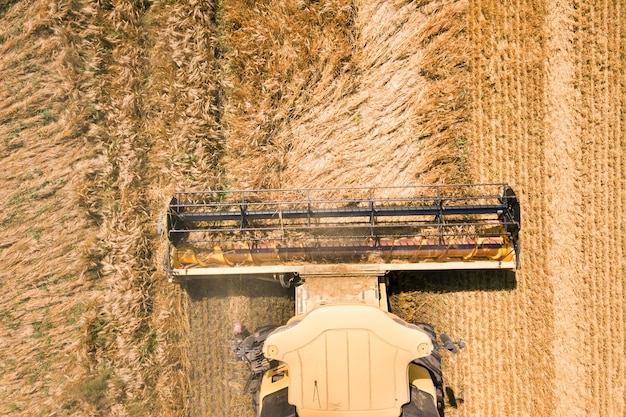 Вид с воздуха на зерноуборочный комбайн, собирающий большое поле спелой пшеницы. Сельское хозяйство с точки зрения дрона.