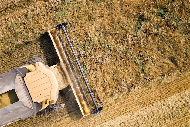 Aerial view of combine harvester harvesting large ripe wheat field. Agriculture from drone view.