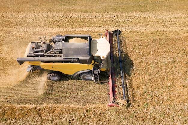 大きな熟した小麦畑を収穫するコンバインの航空写真。ドローンの視点からの農業。