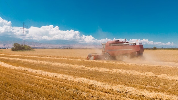 Aerial view of Combine Harvester Harvesting Wheat In Agricultural Field