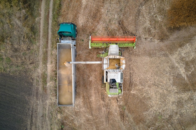 Aerial view of combine harvester unloading grain in cargo trailer working during harvesting season on large ripe wheat field Agriculture and transportation of raw farm products concept