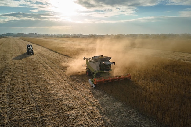 Aerial view of combine harvester working during harvesting season on large ripe wheat field. Agriculture concept.