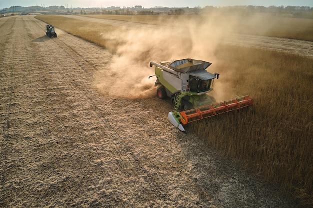 Aerial view of combine harvester working during harvesting season on large ripe wheat field Agriculture concept