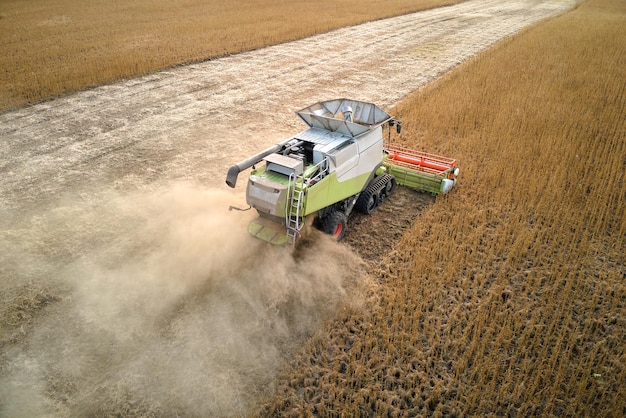 Aerial view of combine harvester working during harvesting season on large ripe wheat field Agriculture concept