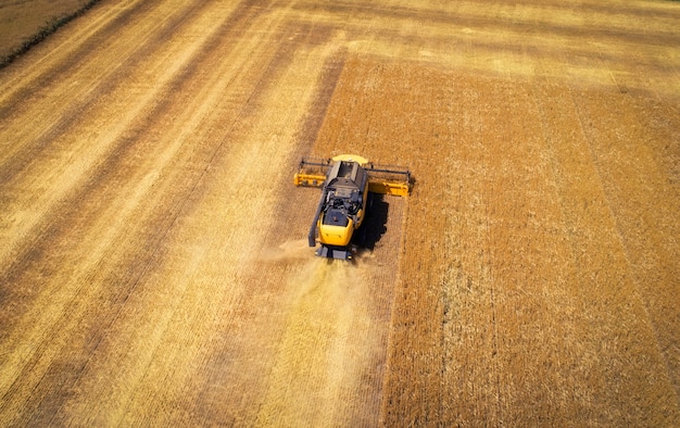 フィールドで熟した小麦を収穫するコンバインの航空写真