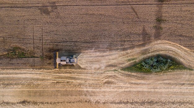 Vista aerea sulla mietitrebbia lavorando sul grande campo di grano