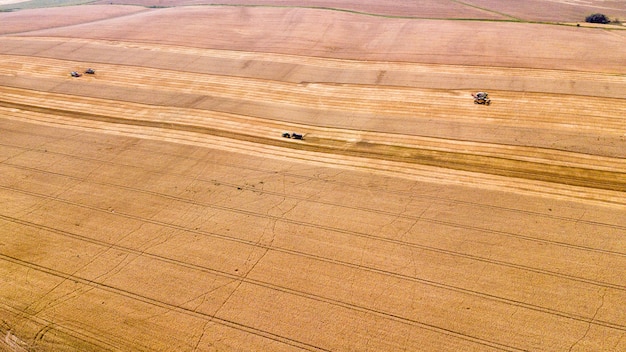 Vista aerea sulla mietitrebbia lavorando sul grande campo di grano