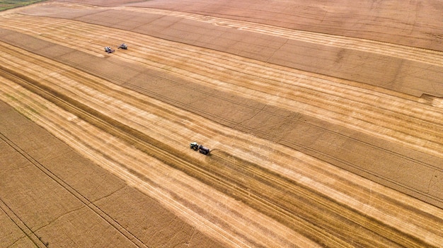 Vista aerea sulla mietitrebbia lavorando sul grande campo di grano