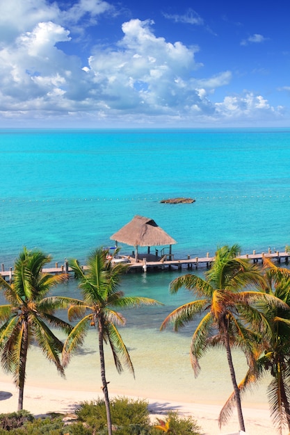 Aerial view contoy tropical caribbean island mexico