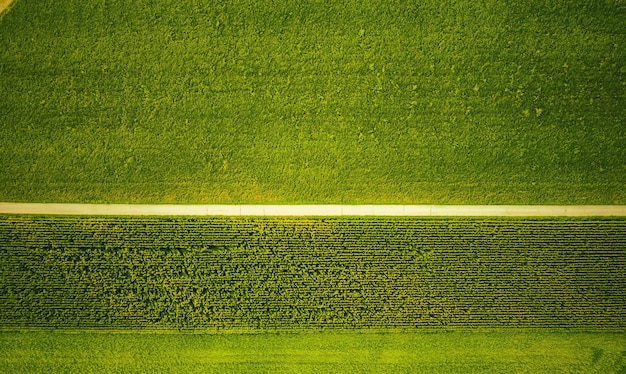 Photo aerial view of countryside road between fields sunset colors