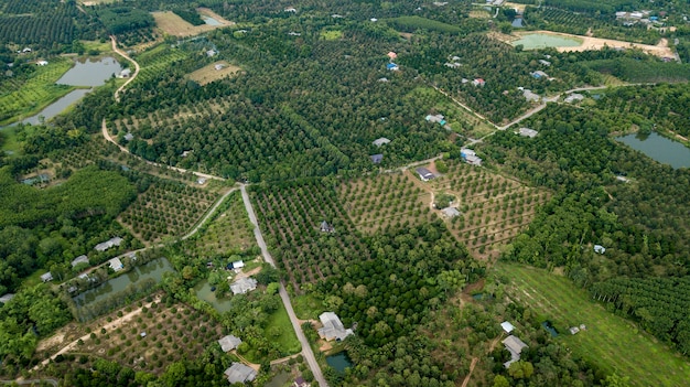 Aerial view countryside thailand