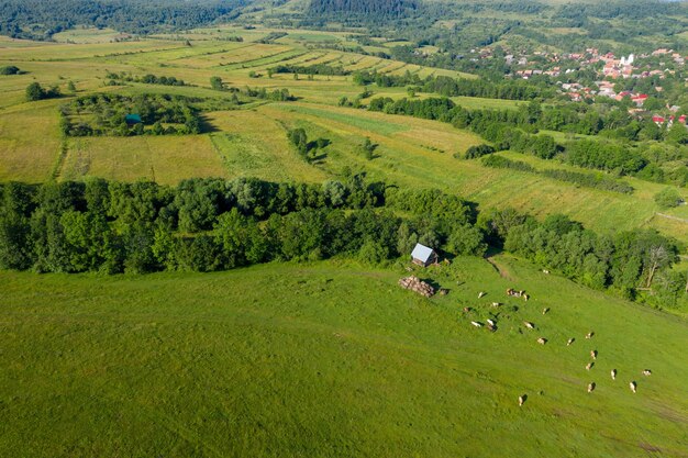 Aerial view of countryside vibrant green hills Transylvania Romania drone point of view