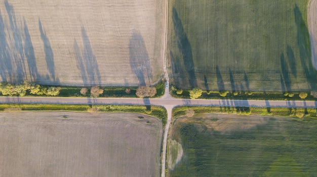 Photo aerial view of cultivated crop