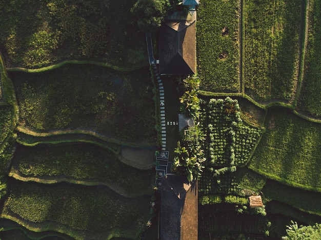 Photo aerial view of cultivated land