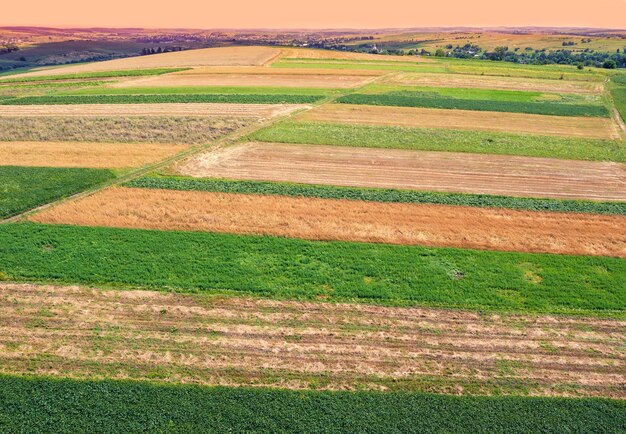 Aerial view of cultivated soy and wheat field in summer Rural landscape