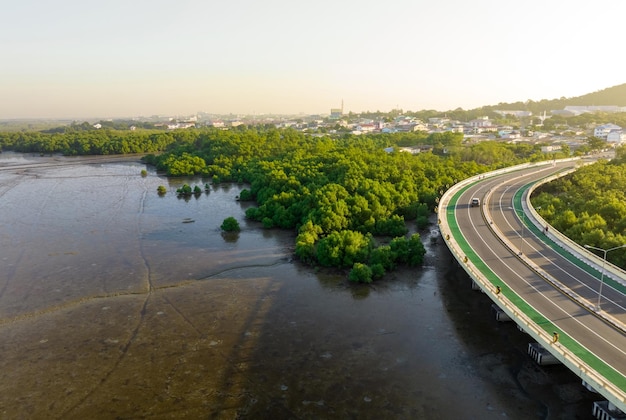 緑のマングローブ林と海辺の街が広がるカーブ道路の空撮 マングローブの生態系 マングローブ