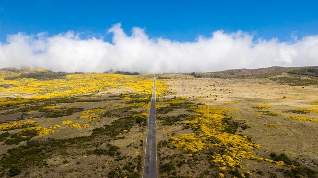 Aerial view of curvy road in paul da serra madeira island portugal in a sunny day