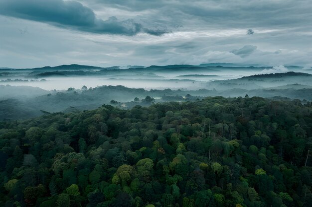 Aerial view dark green forest with misty clouds ecosystem concept