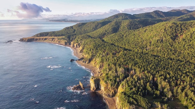 Aerial view the dawn in the Sakhalin Cape BirdRussia