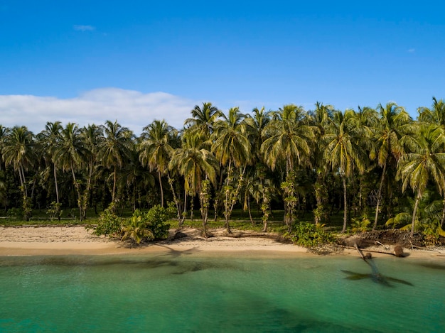 Aerial view of desert tropical beach Zapatilla island Bocas del Toro Panama