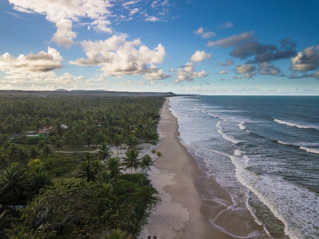 バイーアブラジルの海岸にココナッツの木がある空中写真の人けのないビーチ。