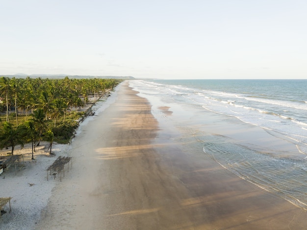 Vista aerea della spiaggia tropicale deserta a ilheus bahia brasile.