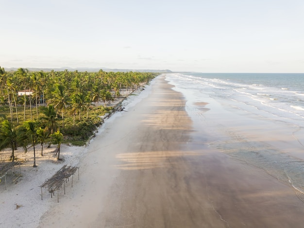 Vista aerea della spiaggia tropicale deserta a ilheus bahia brasile. Foto Premium