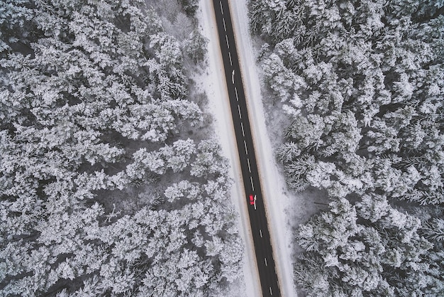 Aerial view of a divided road in winter forest