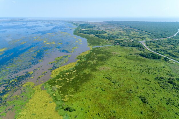 空撮ドローンショットトップダウンの緑の森と湖の美しい荒野自然風景