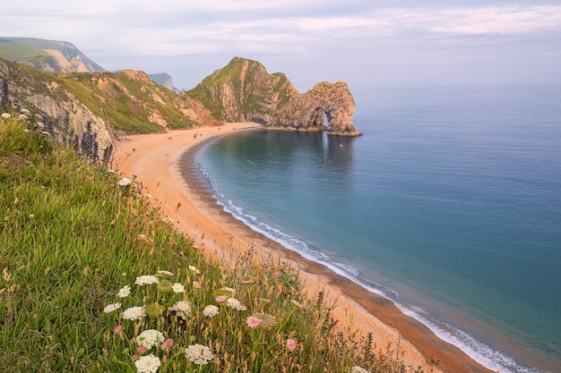 Durdle 문 및 아침에 녹색 필드에 공중보기. 도싯. 북해. 영국.